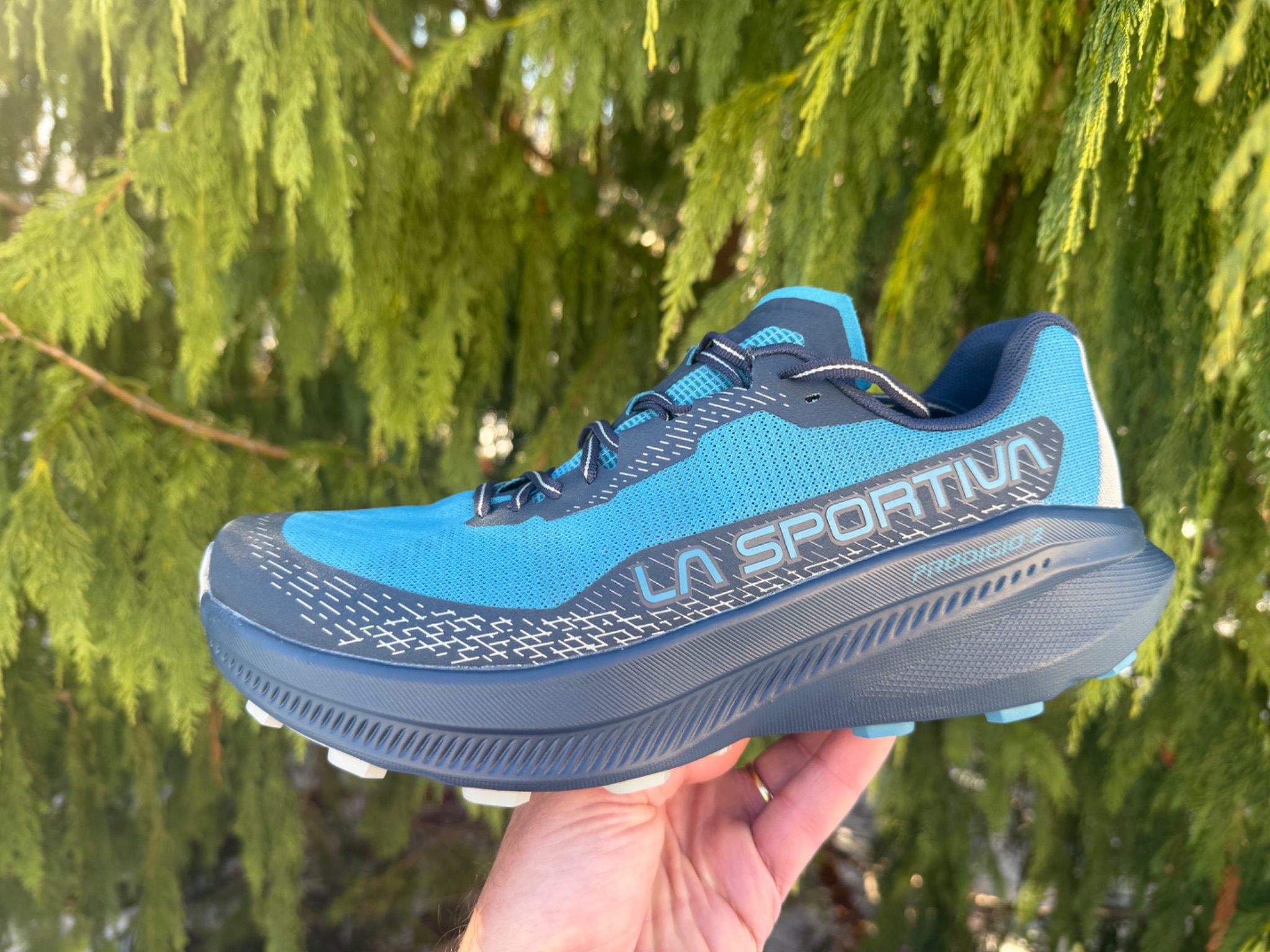La Sportiva Prodigio 2 Review