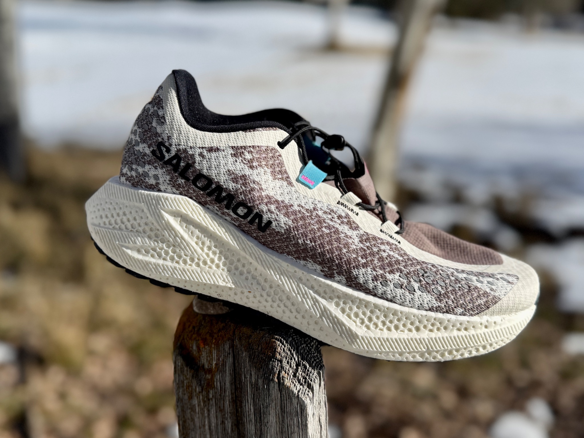 Salomon Aero Glide 4 GRVL Review