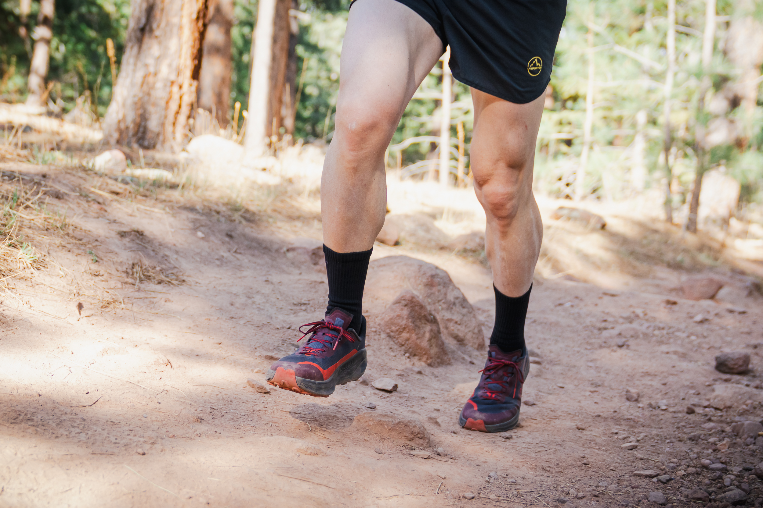 John Tribbia on Shanahan Trail
